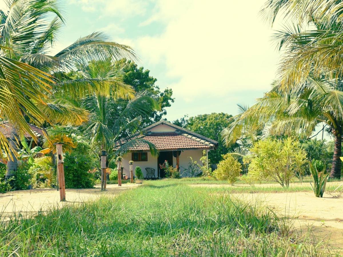 Prime Surfers Bungalow อารูกัมเบย์ ภายนอก รูปภาพ